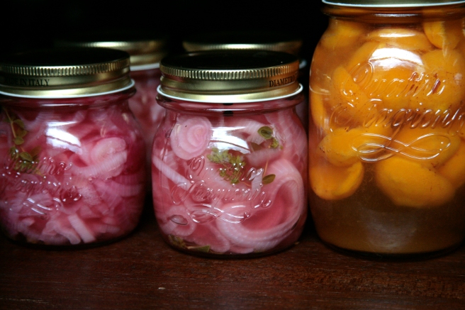 pickled red onions and apricots in honey syrup